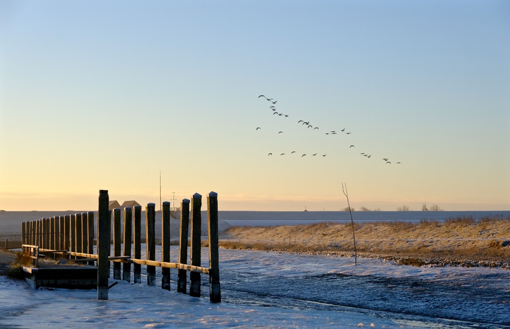 The Waddenzee as seen from Noordpolderzijl