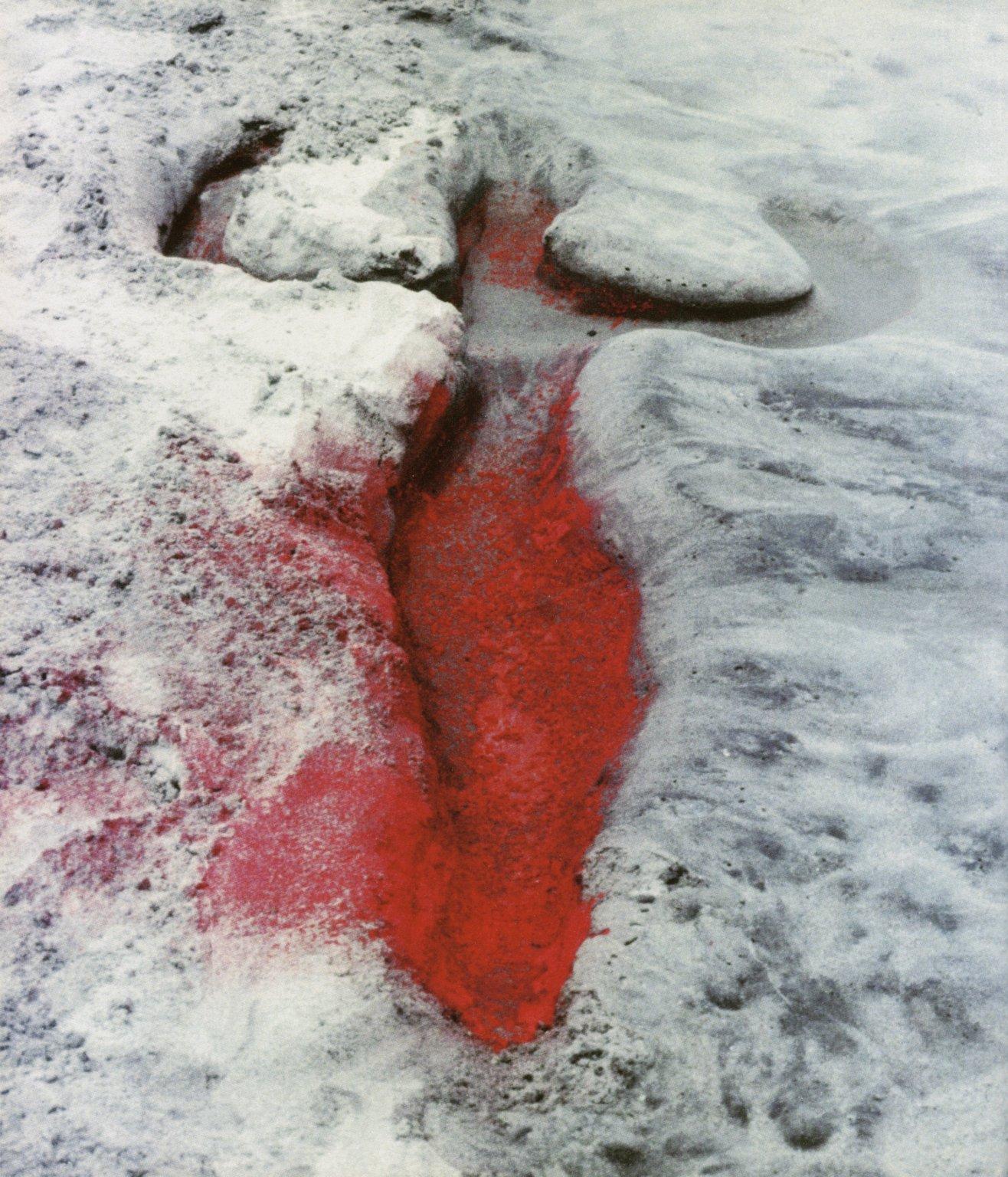 Ana Mendieta, "Earth Work 2" (1976)