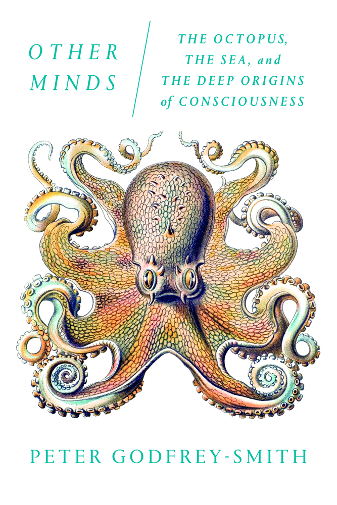 Cover van het boek